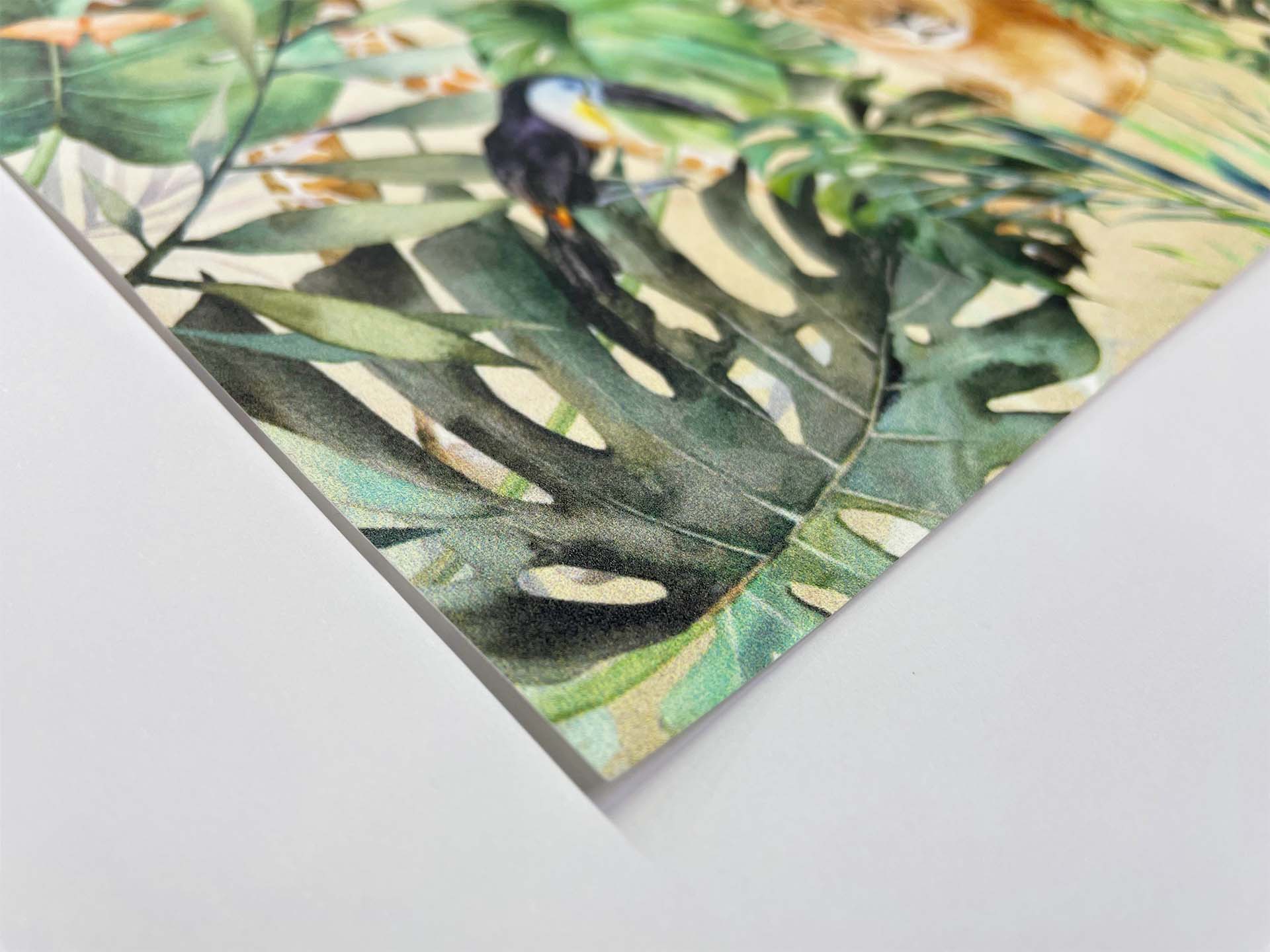 Non-woven Duvar Kağıdı Non-woven Duvar Kağıdı