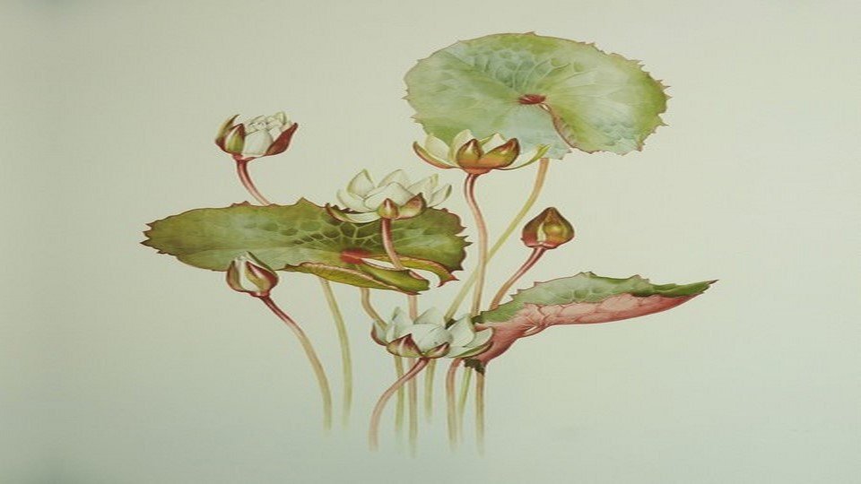 SNT-160017219 - Sanatsal Kanvas Tablo SNT-160017219 - Sanatsal Kanvas Tablo