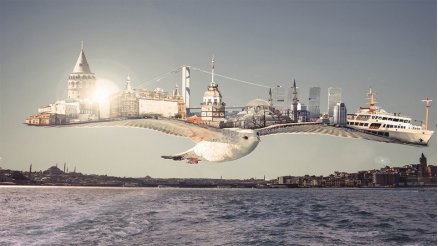 Martının Kanatlarındaki İstanbul Duvar Kağıdı