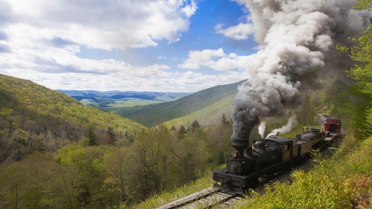 Ormandaki Kara Tren Duvar kağıdı