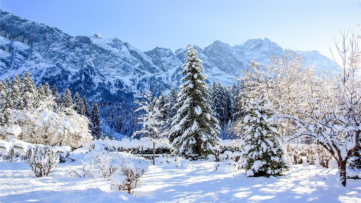 Karlı Manzara Duvar Kağıdı