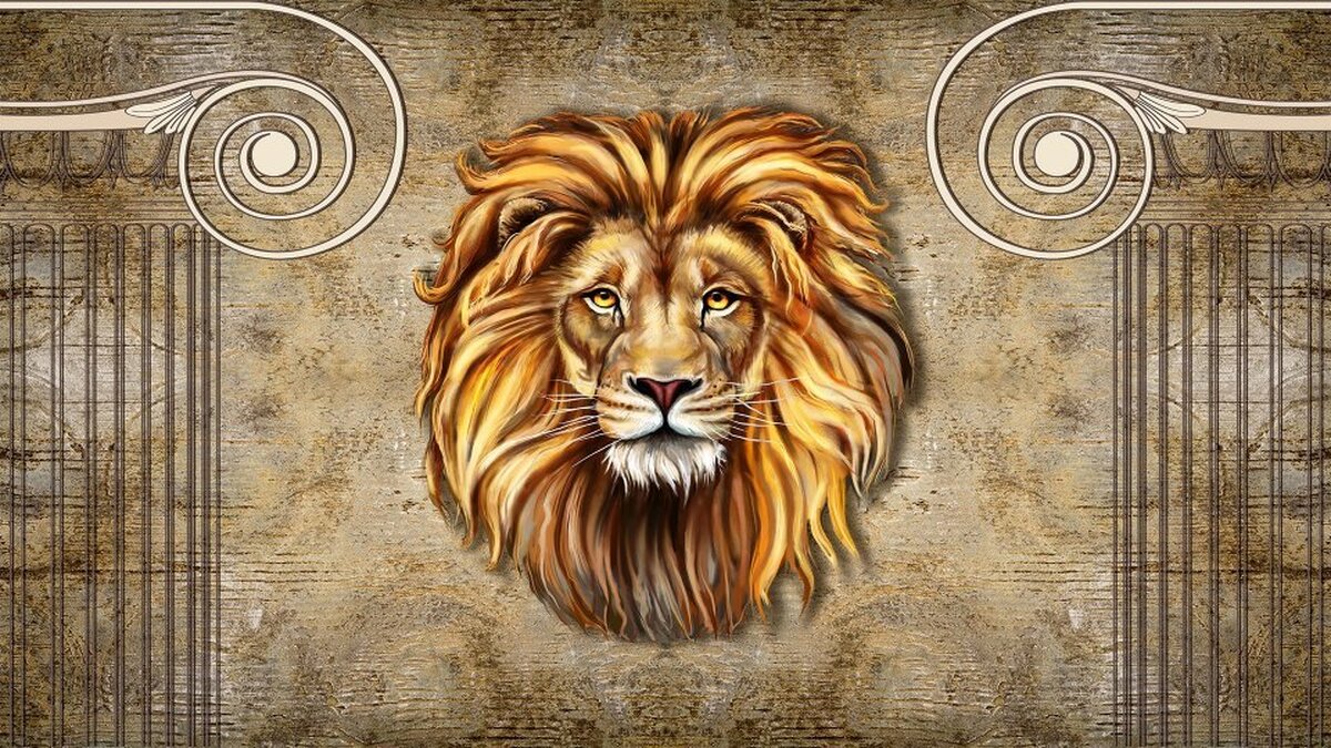 Aslan Temalı Duvar Kağıdı