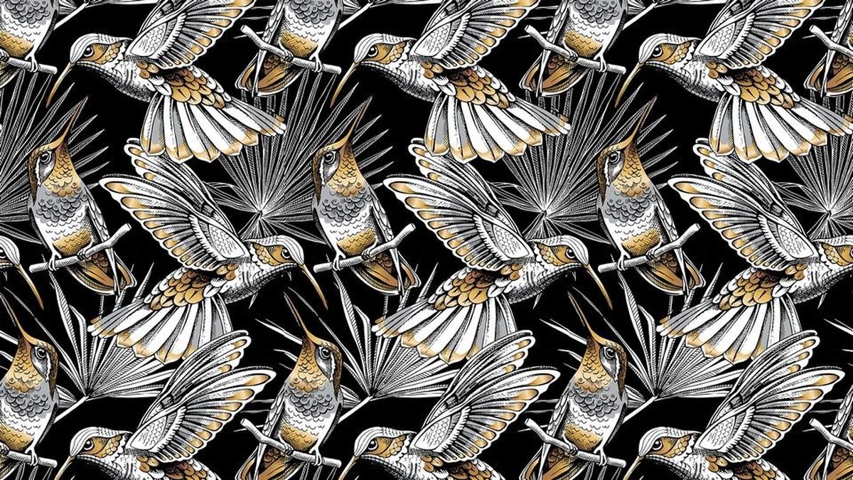 Hummingbird Duvar Kağıdı