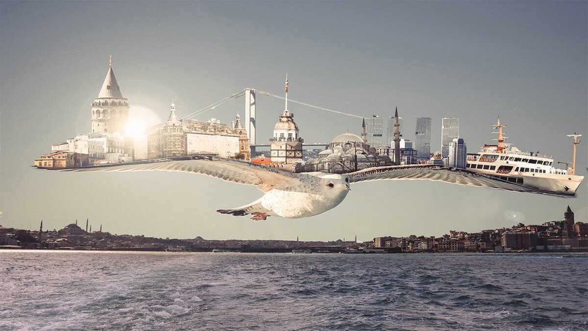 Martının Kanatlarındaki İstanbul Duvar Kağıdı