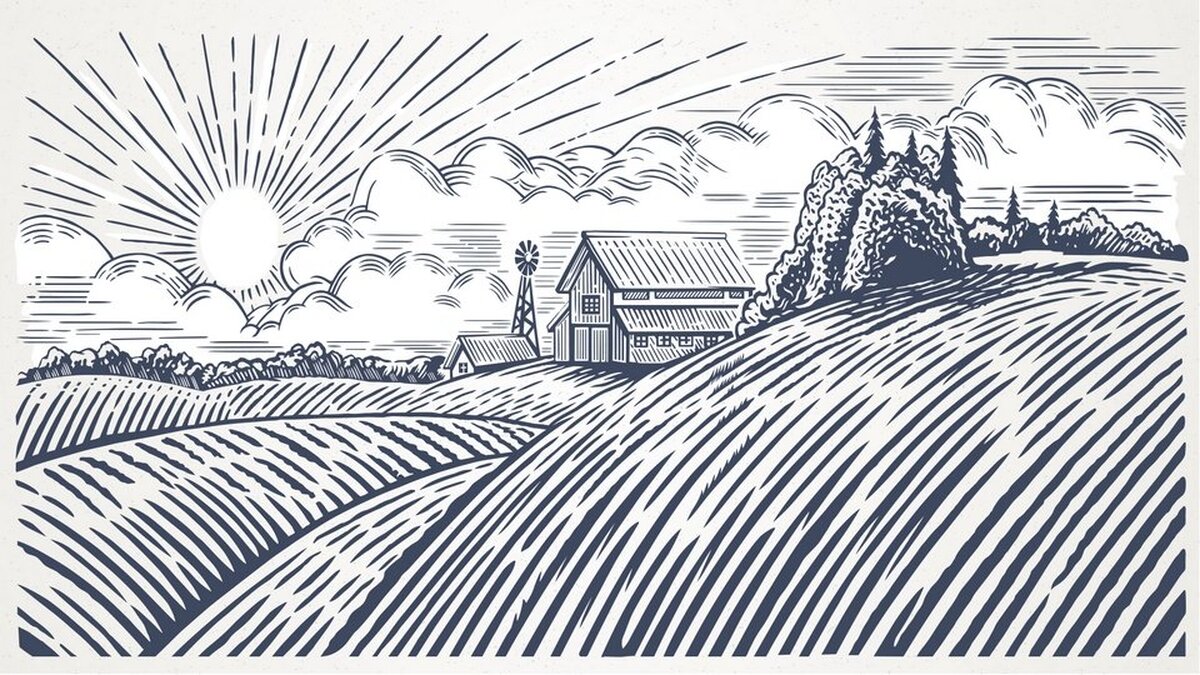 Çizim Bahçe Duvar Kağıdı