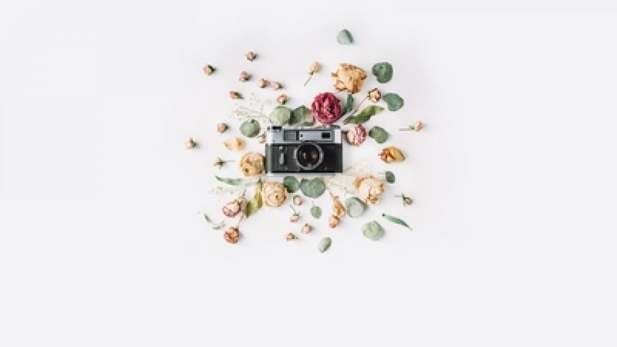 Çiçek ve Fotoğraf Makinesi Duvar Kağıdı